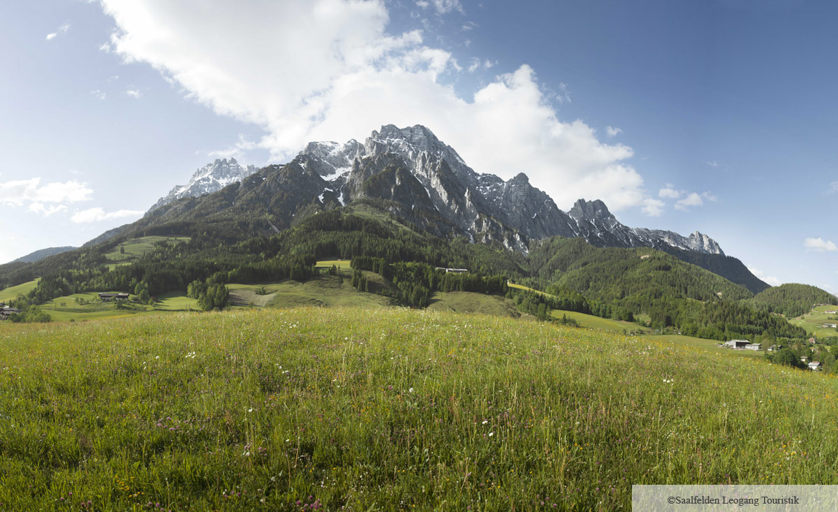 bergpanorama-leogang