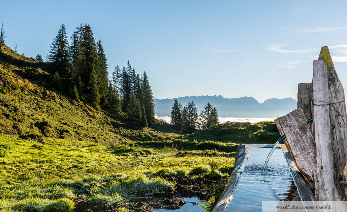sommerurlaub-leogang