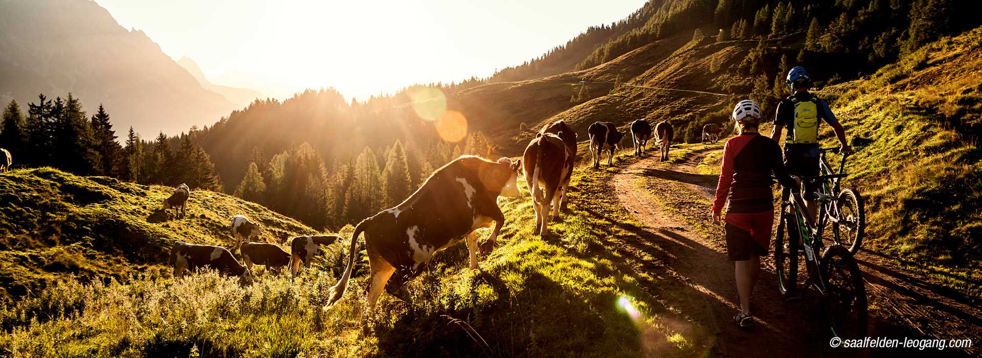 Morgen Biken Paar Salzburger Land